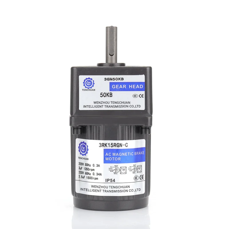 Minitype AC Gear Reducer Motor 15W (1)