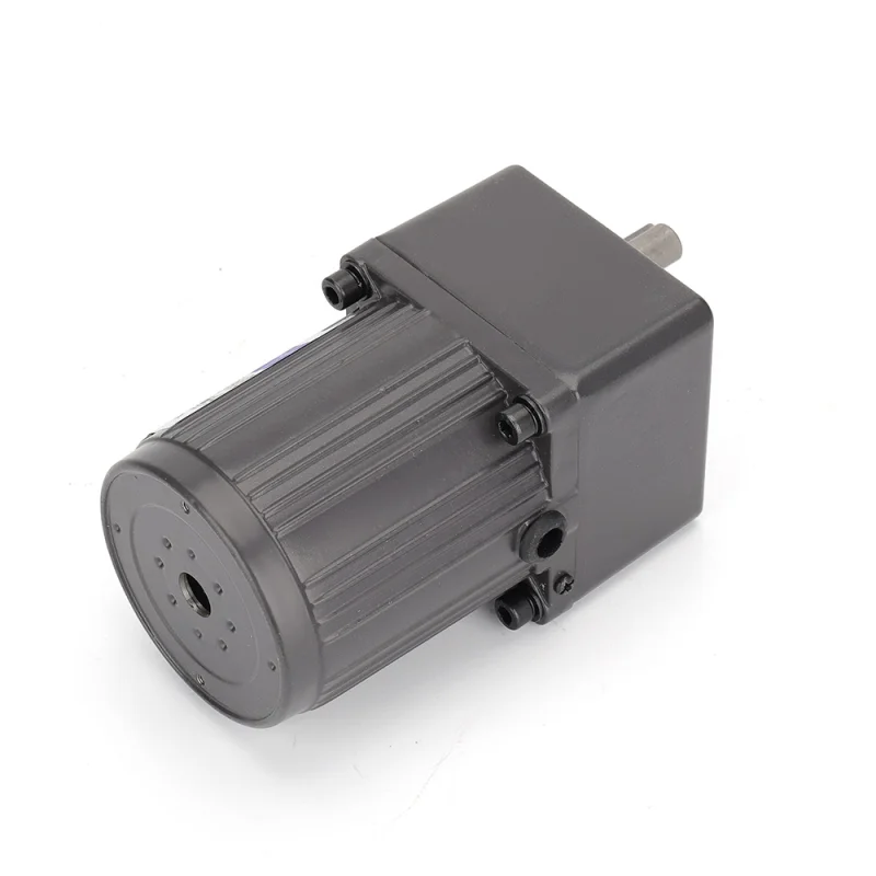 Minitype AC Gear Reducer Motor 15W (4)