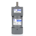 Small AC Gear Reducer Motor 120W (1)