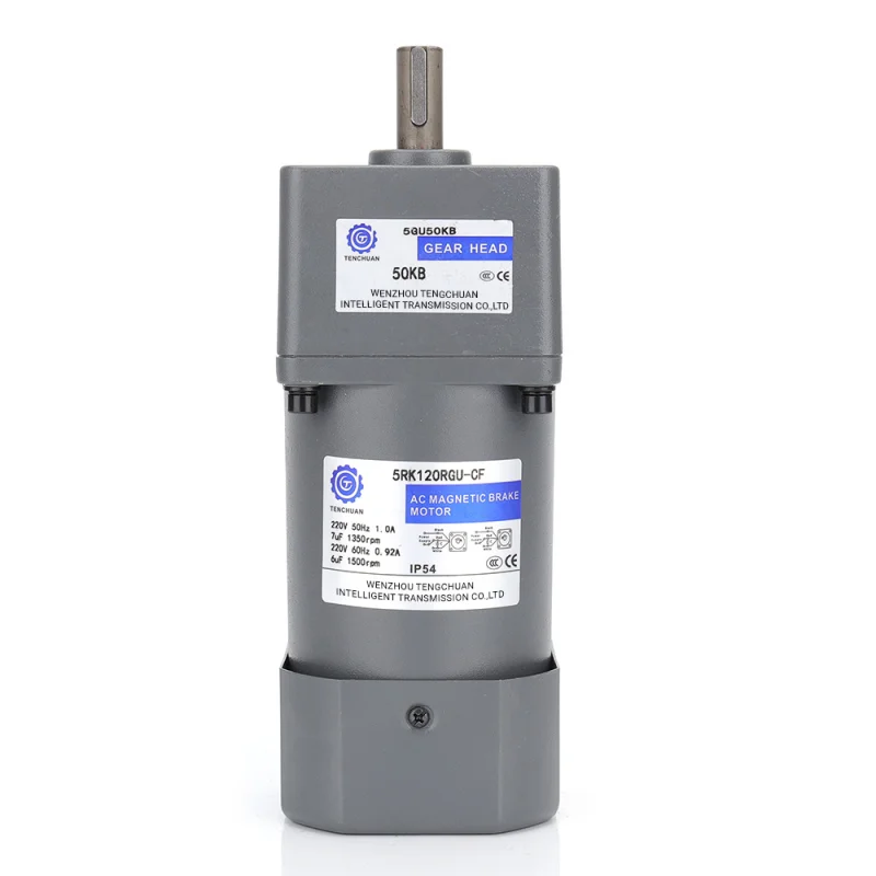 Small AC Gear Reducer Motor 120W (1)