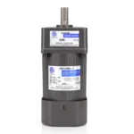 Small AC Gear Reducer Motor 120W (4)