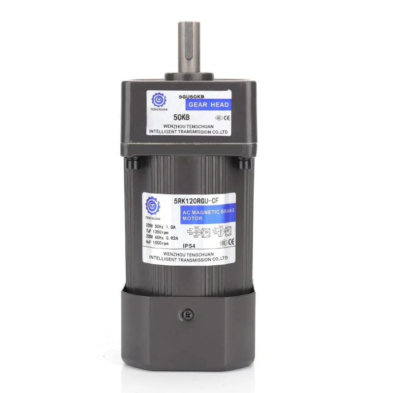 Small AC Gear Reducer Motor 120W (4)