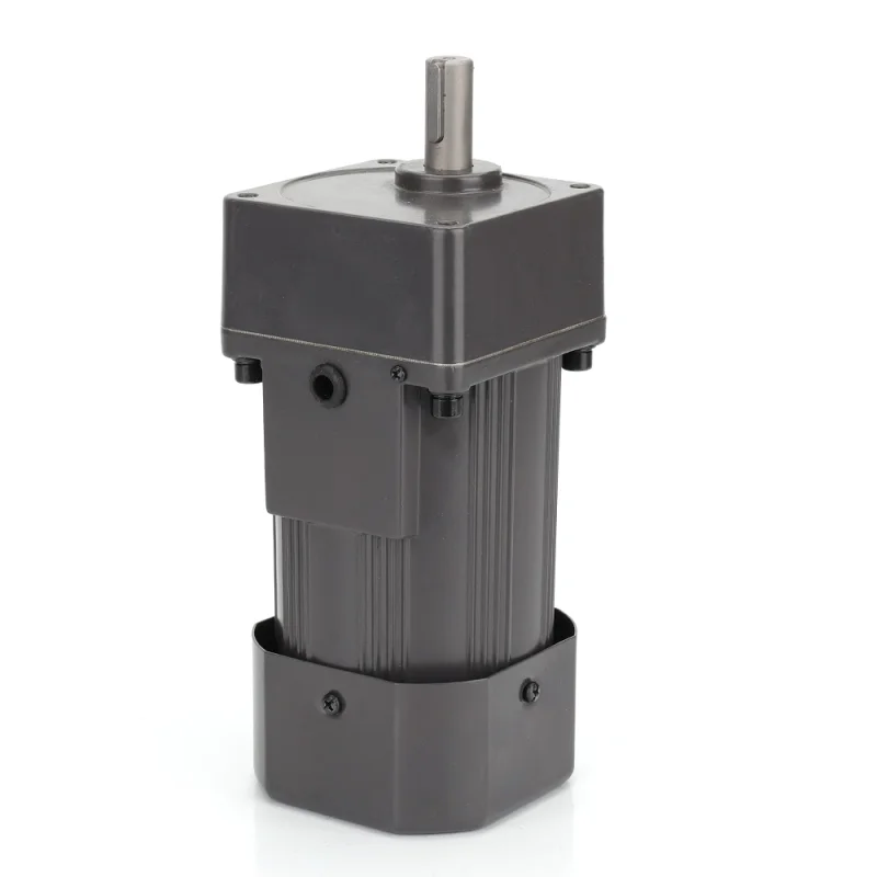Small AC Gear Reducer Motor 120W (5)