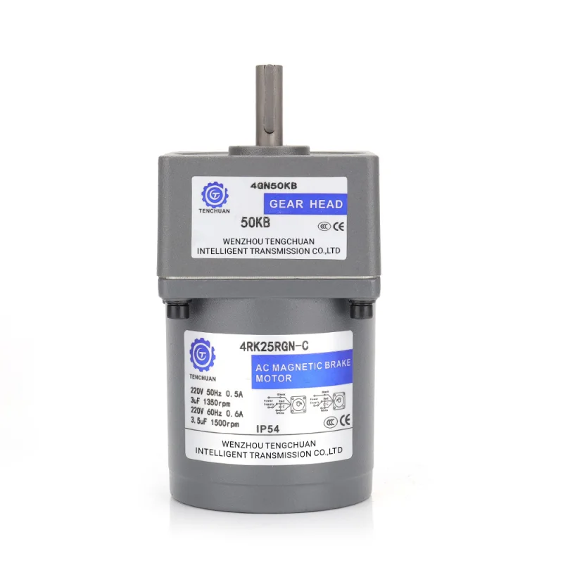 Small AC Gear Reducer Motor 25W (1)