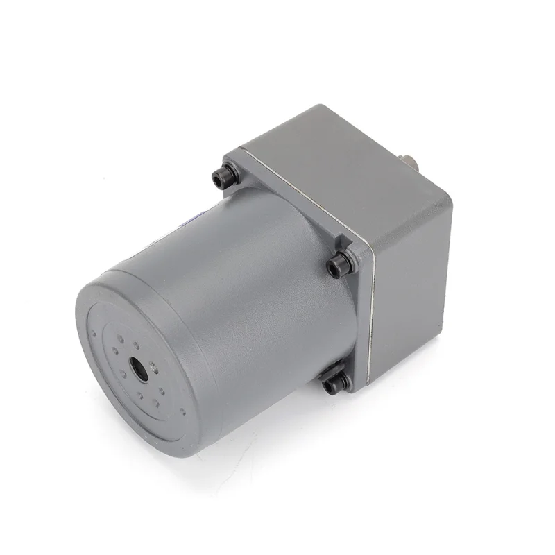 Small AC Gear Reducer Motor 25W (3)
