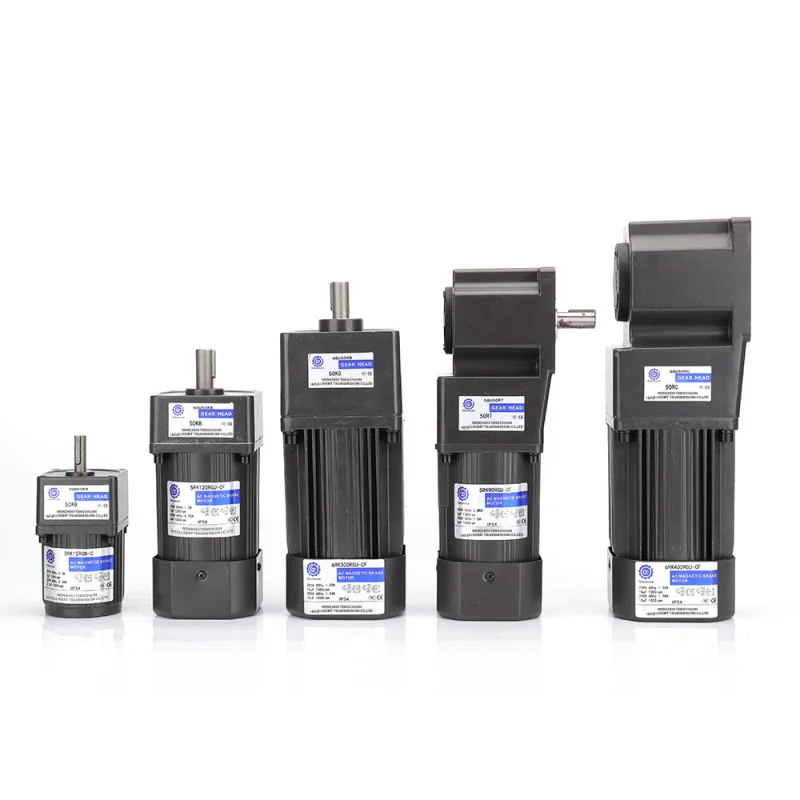 Small AC Gear Reducer Motors